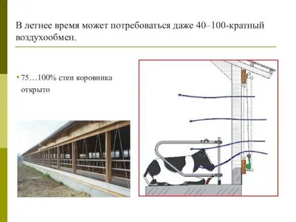 Способ содержания животных
