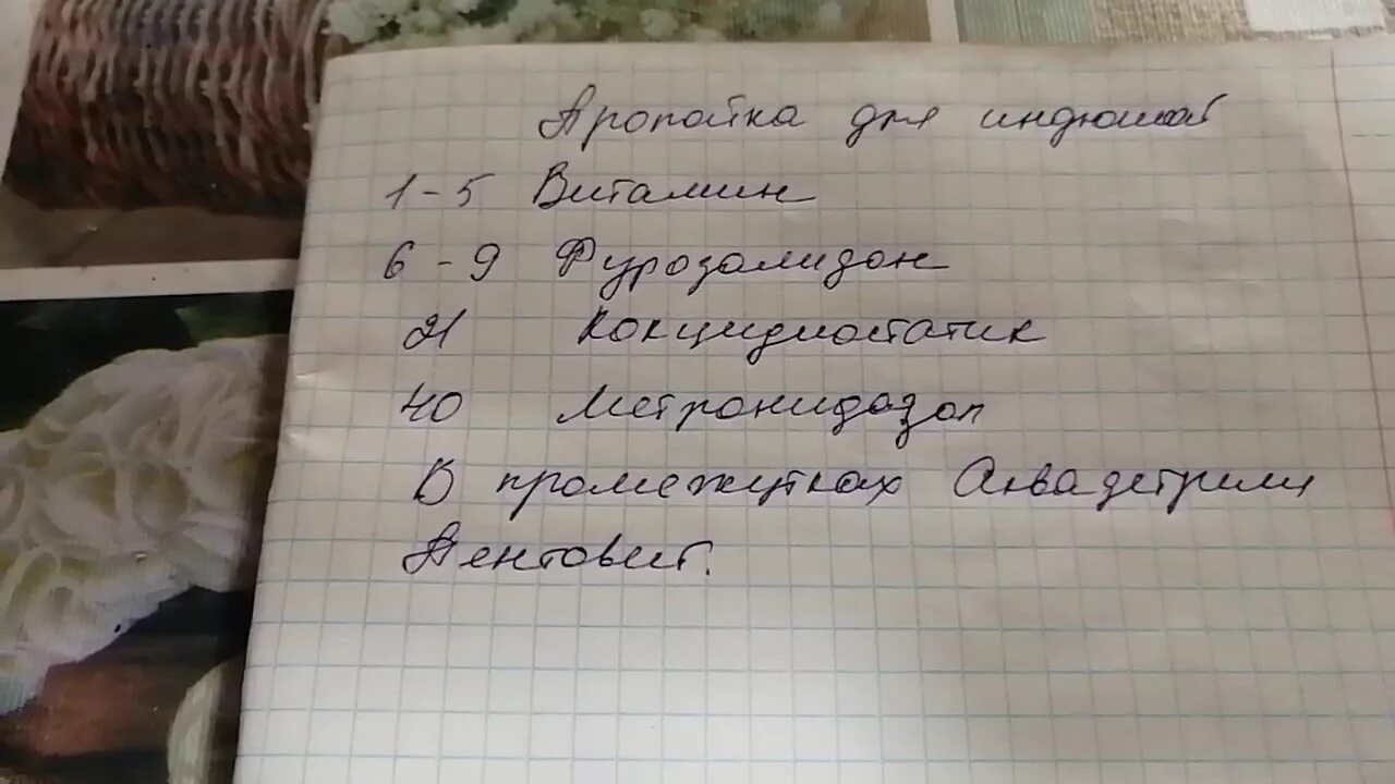 Пропойки индюков. Схема пропаивания индюков. Схема выпойки индюшат Биг 6. Пропойка индюков бройлеров.