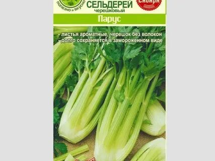 Сельдерей парус листовой