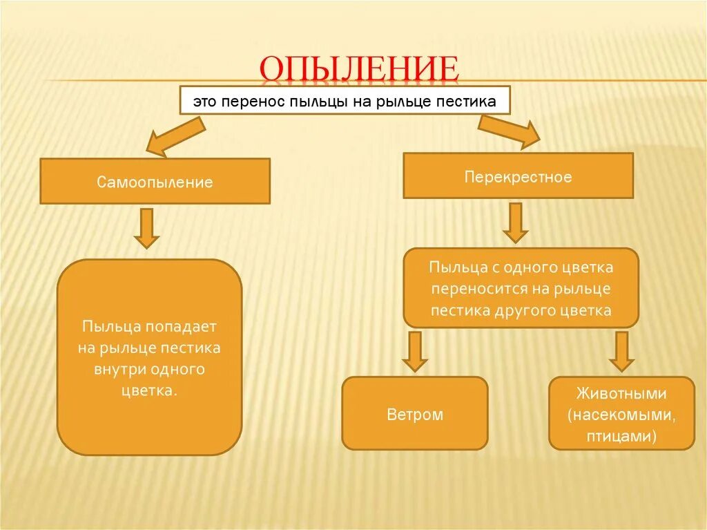 Опыление. Опыление понятие. Типы опыления растений. Опыление и его способы конспект. Какой процесс следует за опылением