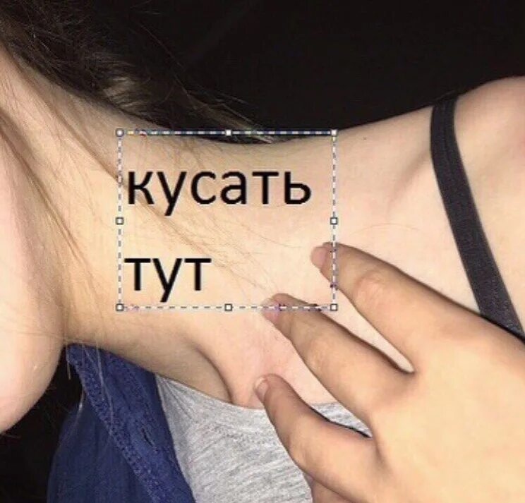 Фраза ты тута и я тута. Кусаюсь надпись. Я кусаюсь надпись. Укушу картинки. Я хочу тебя укусить.