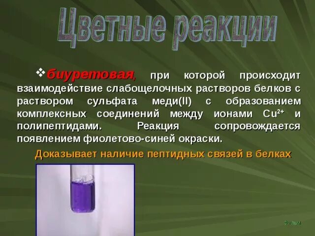 Биуретовая качественная реакция на белок. Цветные реакции на белки биуретовая реакция. Цветные реакции белков. Биуретовая реакция. Калий эксперименты.
