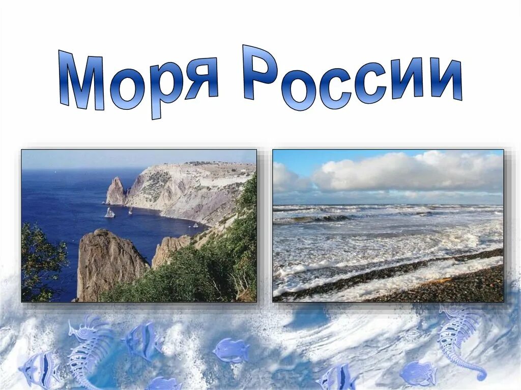 Море россии 4 буквы. Моря России. Северные моря России. Моря России презентация. Холодные моря России.