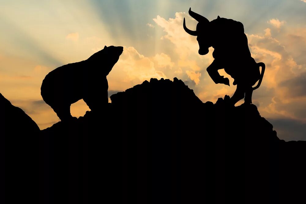 Bull bear bull bear. Быки и медведи. Медвежий рынок лого. Трейдинг bulls. Медведь логотип.