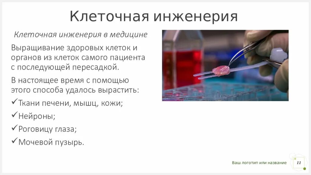 Клеточная инженерия предмет изучения в биологии. Клеточная инженерия в медицине.