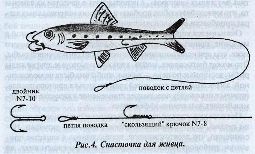 Поплавковая снасть на щуку с живцом. Живцовая донка оснастка. Монтаж снасти на щуку на живца летом. Снасть поплавочная на щуку щуку живца.