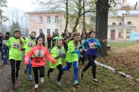 Сайт болоховского машиностроительного техникума