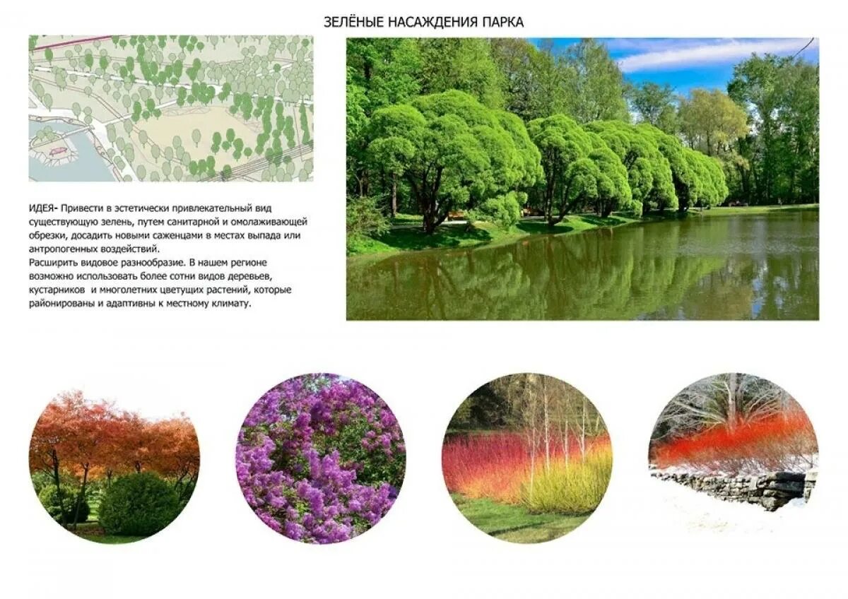 Водно-болотные угодья москвы. Биологический парк шивамога. Ботанический сад торонто канада. Кто основал биологический парк. Биологический парк шивамога.