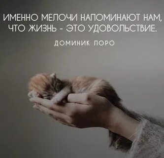 Picture background