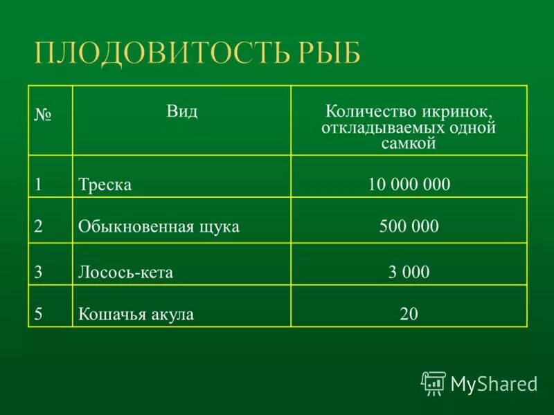 Как связаны плодовитость продолжительность жизни и размеры