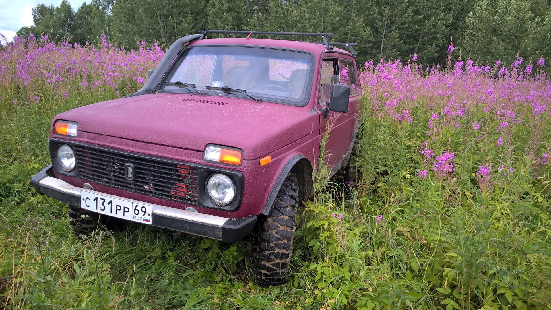 Нива летний вариант. Дром нива. Ваз 2131 1984 года выпуска. Нива 213 яшма. Авито алтайский край нива.
