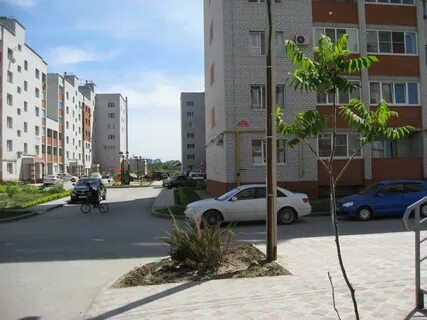 Базарова волгоград