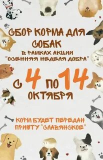 Акция помоги бездомным животным