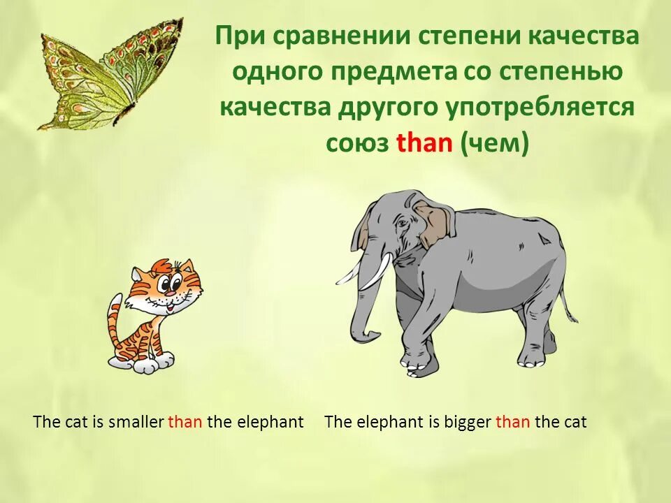 Описание характера на английском. Прилагательные в английском языке картинки. Прилагательные для описания животных. Прилагательные для описания внешности. Прилагательные для описания человека.