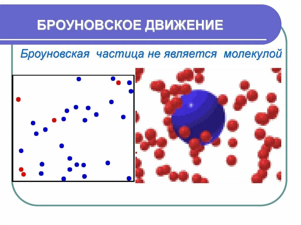 3 броуновское движение. Броуновское движение 7 класс физика. Броуновское движение частиц. Физика 7 класс броуновское движение диффузия. Броуновское движение частиц формула.