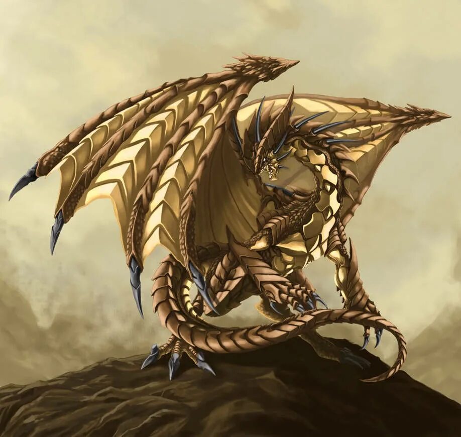 Златошип. Эльрат дракон. Новозеландский опаловый дракон. Дракон арт. Крылья дракона.
