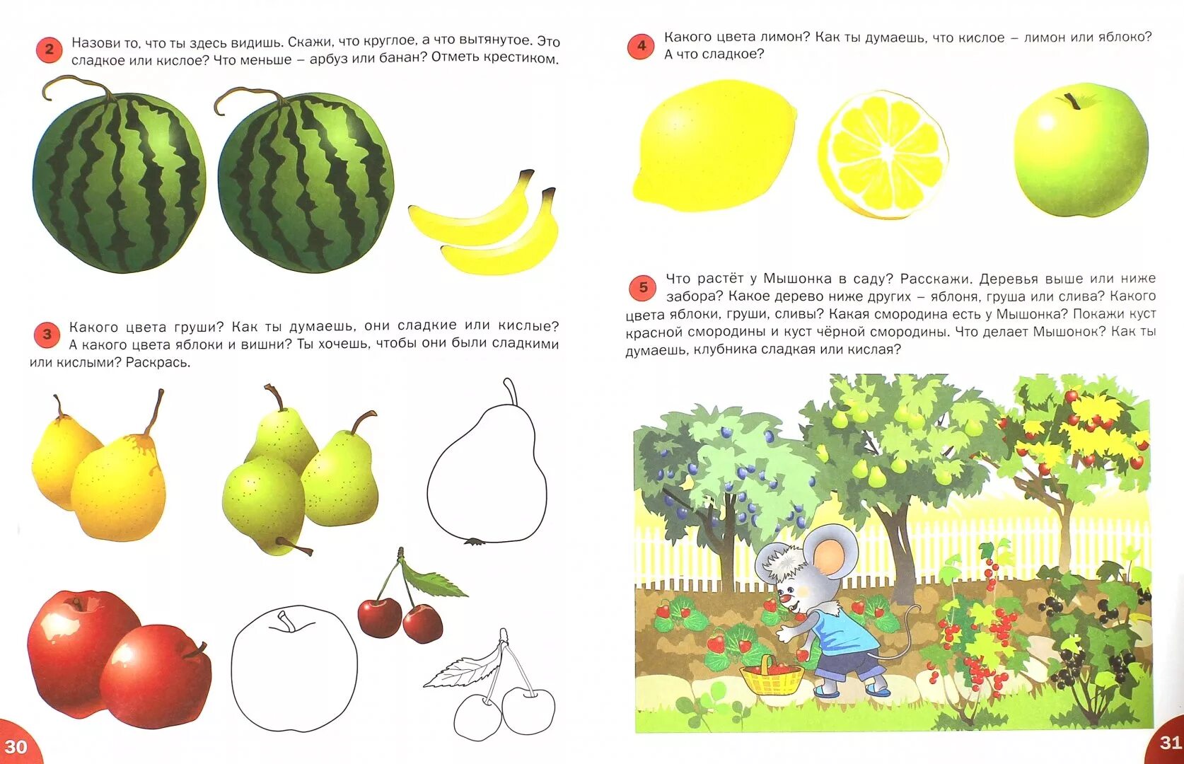 Окружающий мир тема фрукты. Окружающий мир темы для дошкольников 4-5 лет. Окружающий мир дошкольники занятия. Ознакомление с окружающим миром задания для дошкольников. Сад фрукты задания для дошкольников.