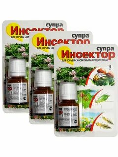 Инсектор