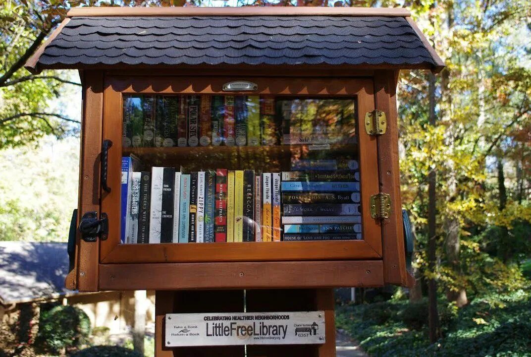 Elmer's little library. Первые юниор чтения библиотека 2009. Мини библиотека на улице. Librs net бесплатная библиотека. Уличный книжный шкаф.