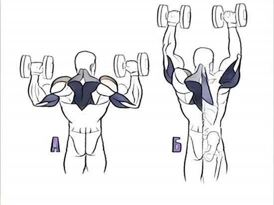 Подъем гантелей вверх. Жим гантелей стоя вверх. Жим гантелей стоя вверх на плечи. Жим вверх с гантелями стоя. Жим гантелей стоя техника.