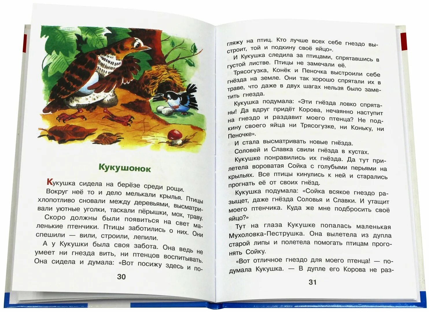 Рассказ Кукушонок Бианки. Бианки Кукушка сидела на Березе. Кукушка сидела на Березе среди Рощи вокруг нее. Диктант Кукушонок. Диктант кукушонок 3 класс