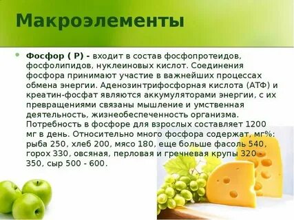 Все макроэлементы в живых организмах