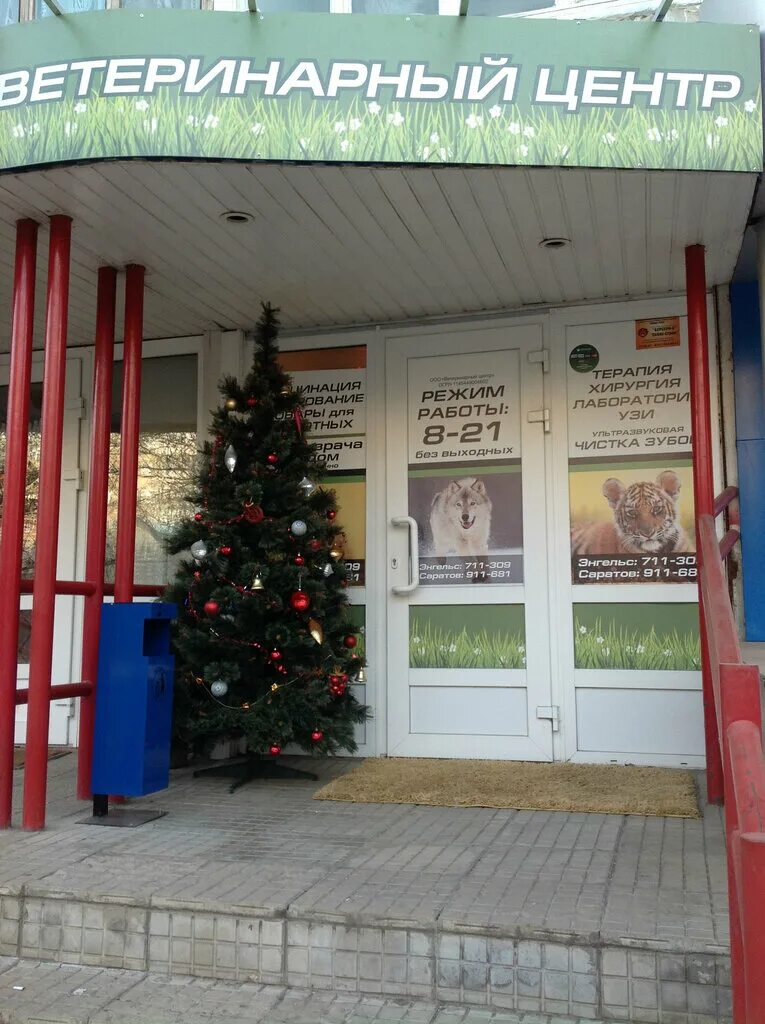 Круглосуточный клиники энгельсе. Телеграфная 80 энгельс вет клиника. Зубные клиники энгельса. Диалайн михайловка. Стоматология на тельмана энгельс.
