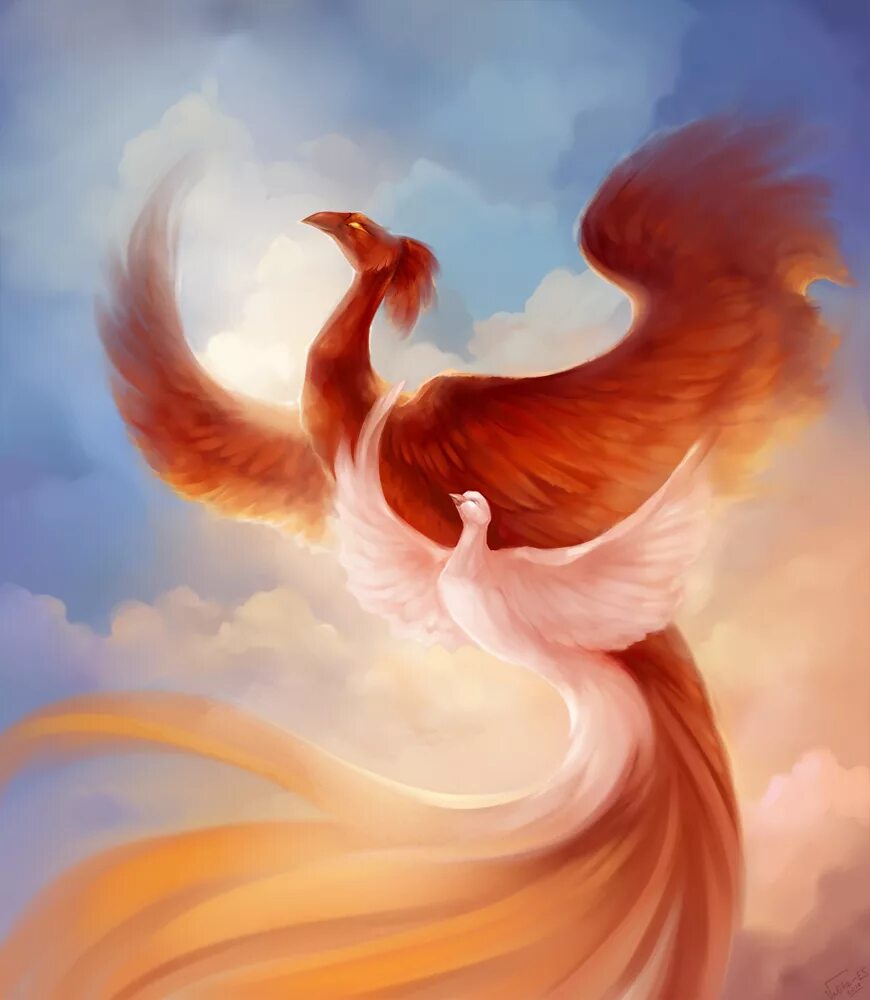 хумо зороастризм. птица феникс мифология. птица феникс жар птица. феникс (сын аминтора). рарог огненный сокол славян.