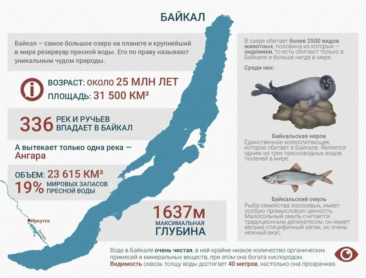 Озеро Байкал инфографика. Схема глубин озера Байкал. Озеро Байкал глубина инфографика. Инфографика по Байкалу.