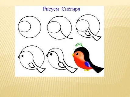 Как легко нарисовать снегиря детям
