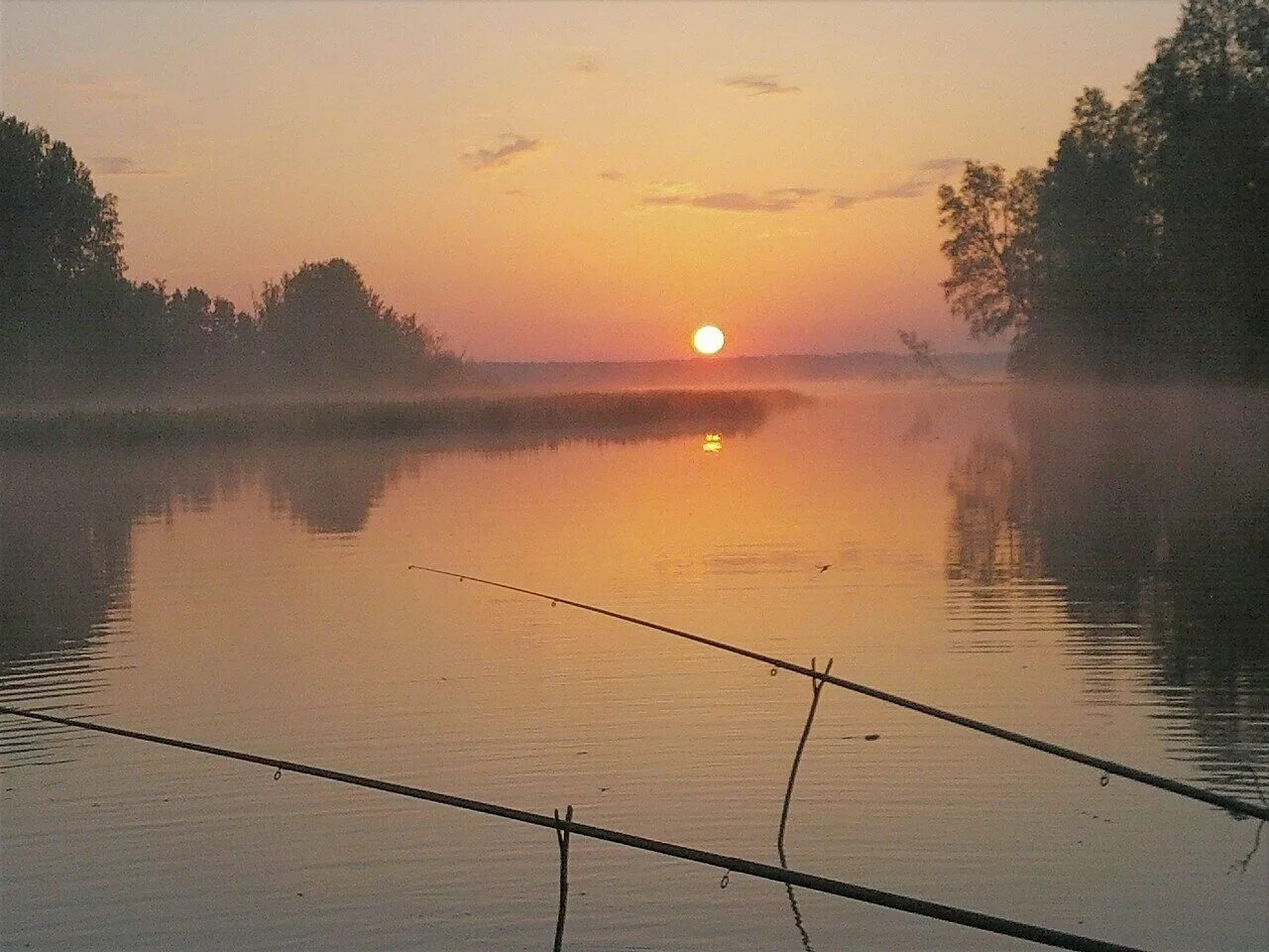 Летним утром мы направляемся на рыбалку природа. Рыбак на рассвете. Красивая природа рыбалка. Рыбалка на рассвете. Рыбак на рассвете в реке.