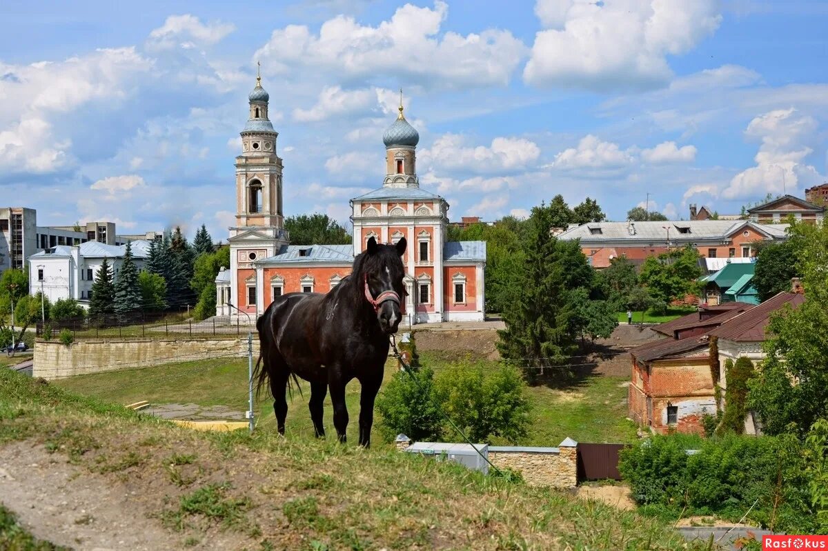 серпухов 1339. владычный монастырь в серпухове зимой. высоцкий монастырь в серпухове зимой. серпухов город русский. город серпухов архитектура.