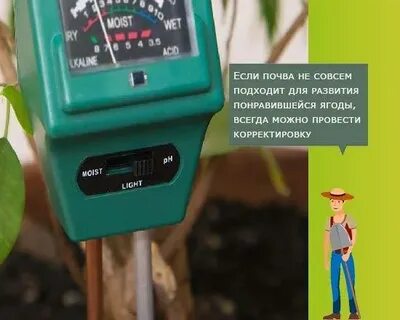 Подкисление голубики электролитом