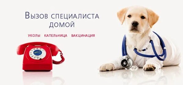 Вызов врача тел. Вызвать врача на дом. Вызов врача. Врач звонит. Женщина с больным ребенком.