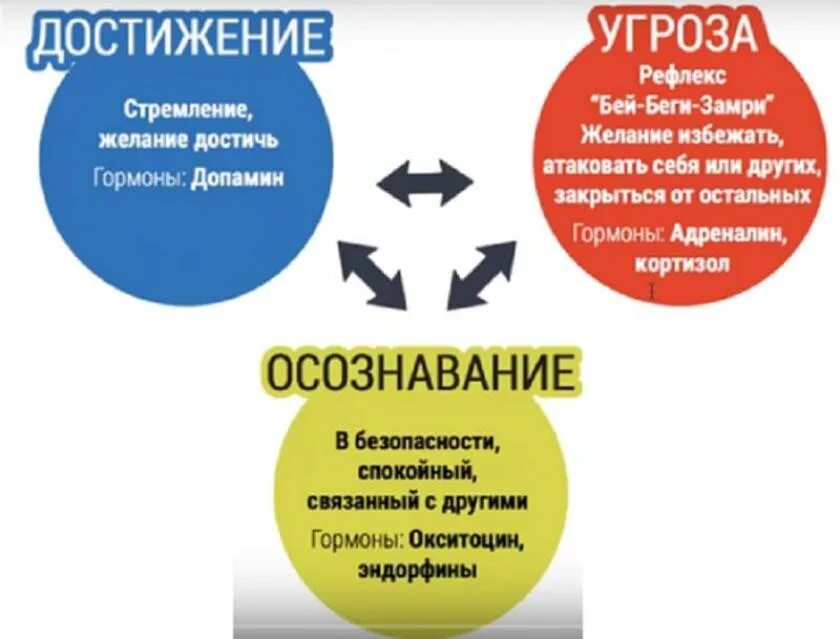 Три реакции на стресс. Беги стресс реакция замри