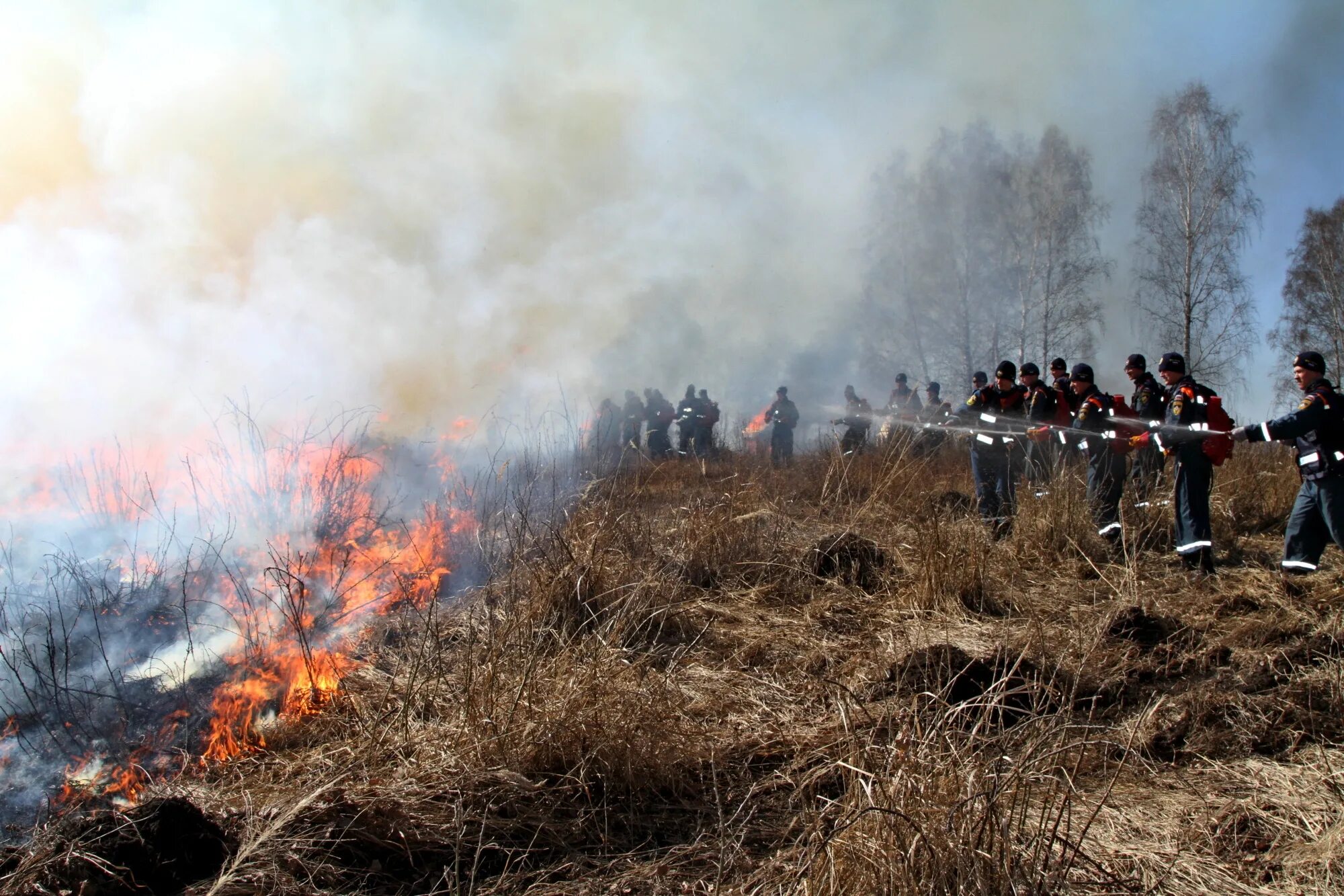 Сжигание полей. Пожар в поле. Пожары в Сибири. Природные пожары. Пожар в лесу.