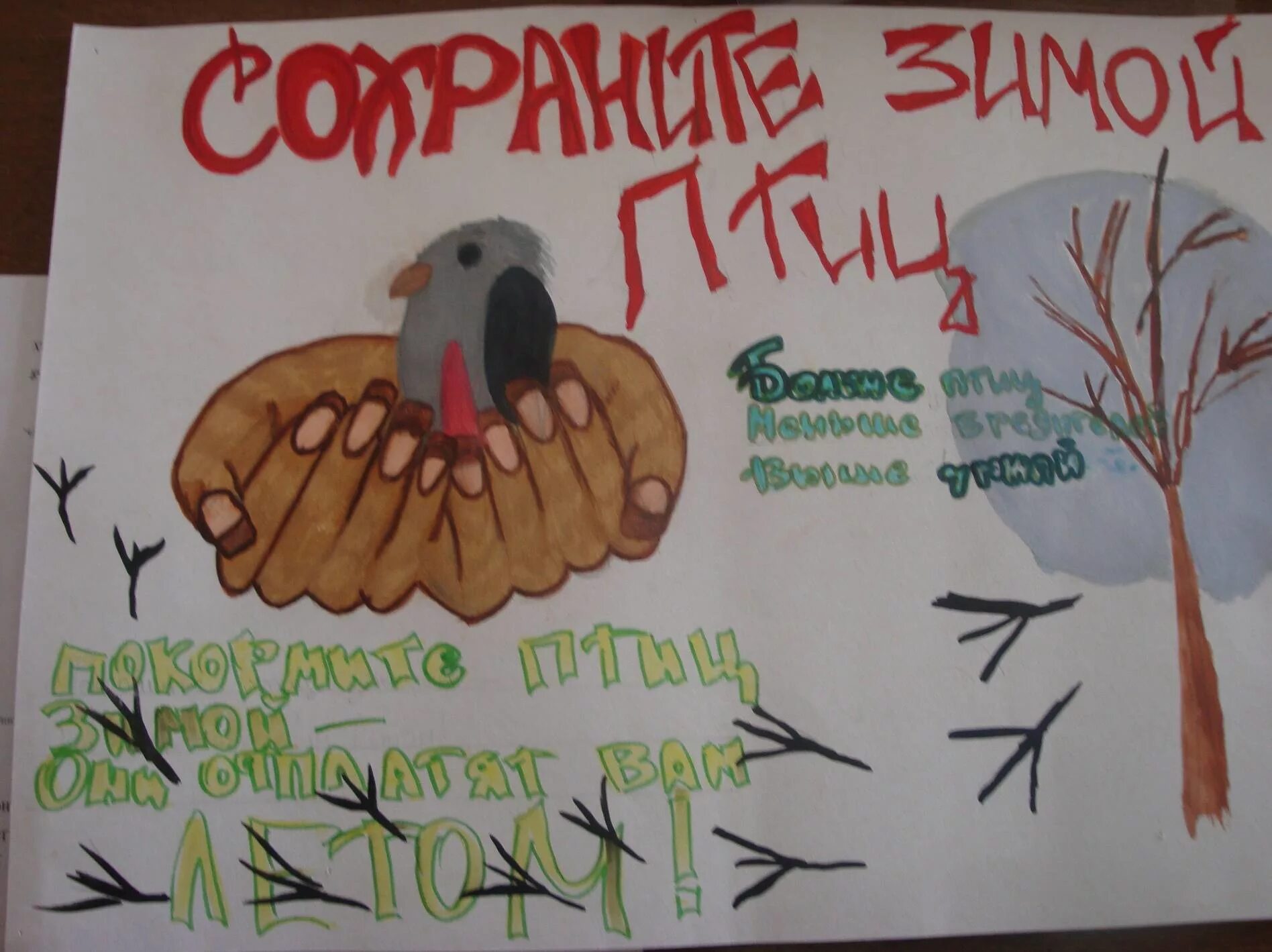 Плакат в защиту птиц. Листовка в защиту птиц. Плакат сохраним птиц. Плакат на тему охрана птиц.