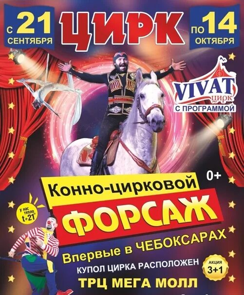 Цирк Виват. Цирк Vivat Чебоксары. Цирк Виват Петрозаводск. Реклама цирка.