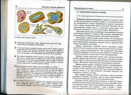 Площадь учебника биологии 5