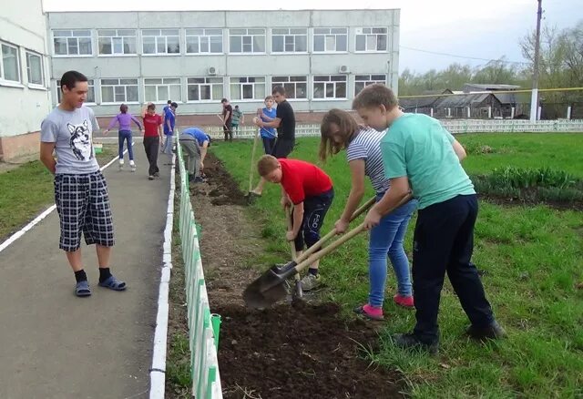 Работа в интернате 1. Саланчикская школа интернат. Саланчикская школа интернат Шумерлинского района. Саланчикская,школа,интернат,Шумерлинский,район,Чувашия. Саланчикская общеобразовательная школа-интернат сайт.