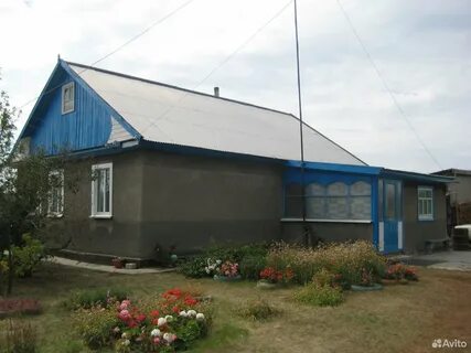 Кулунда продаю