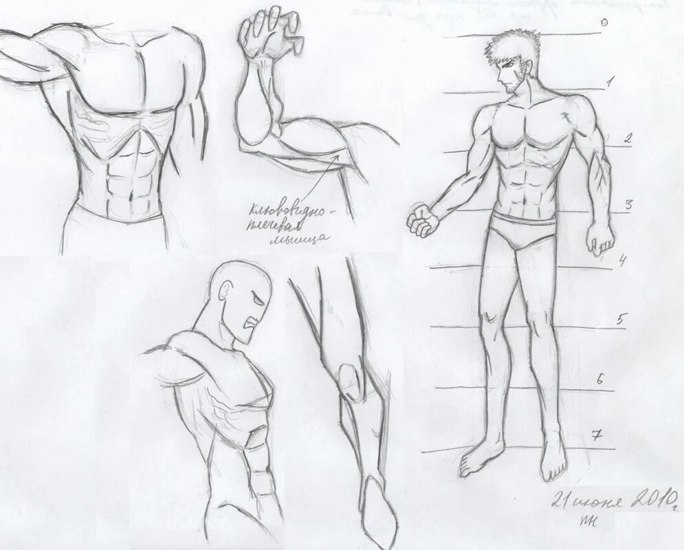 Тела карандашом поэтапно. Тело рисунок. Тело человека рисунок карандашом. Мужское тело для рисования. Человеческое тело рисунок карандашом.