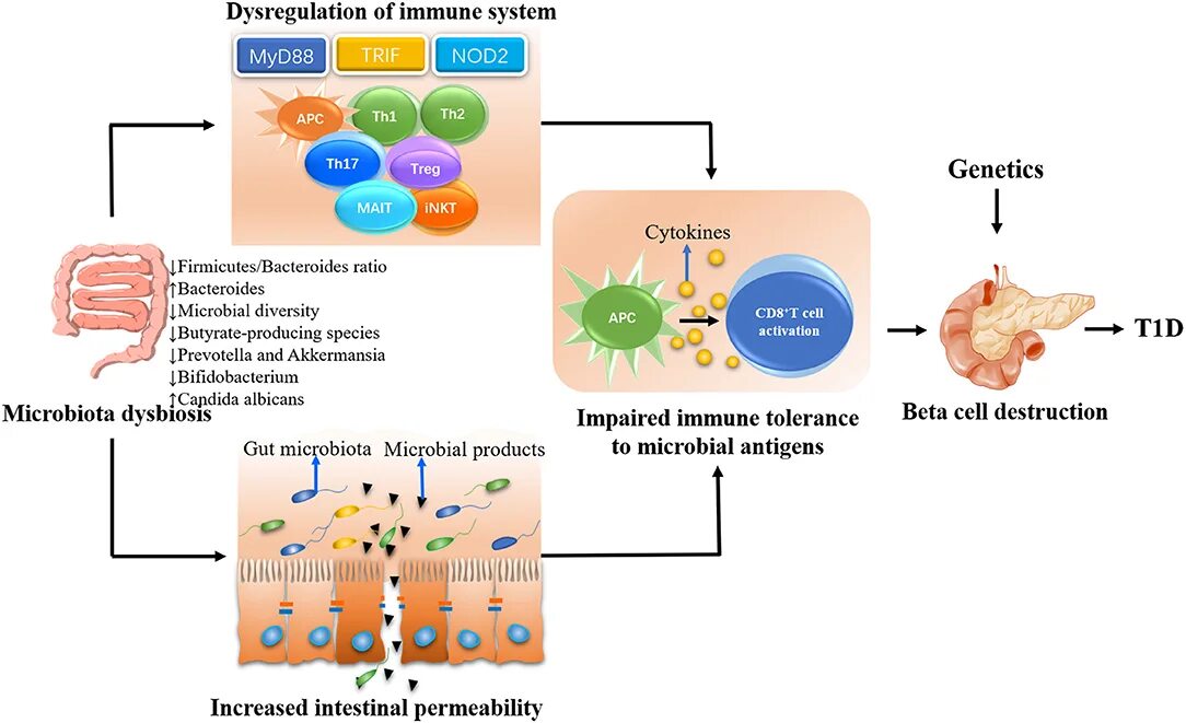 3d t. T d development. Иллюстрации для сайта. Color block. Development history.