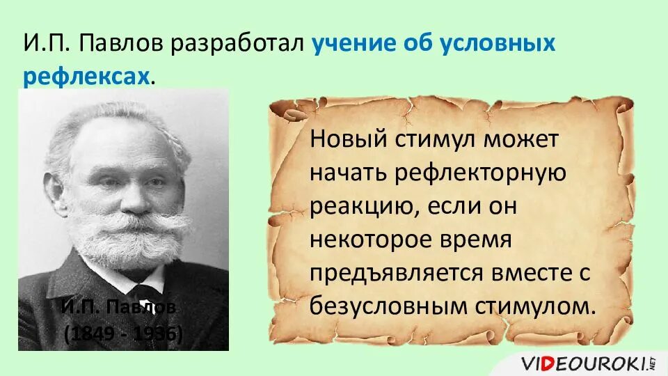 Павлов разработал учение. Учение и.п. Павлова о рефлексах.. Учение об условных рефлексах Павлов. Учение Сеченова и Павлова об условных рефлексах.