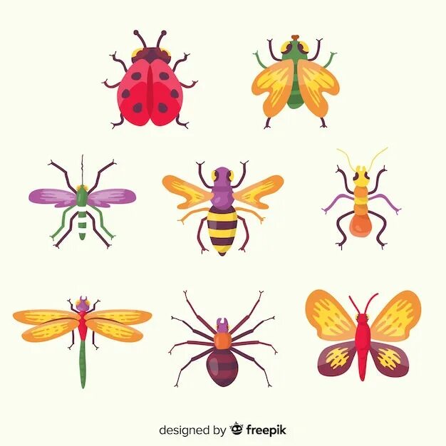 Рисование насекомые старшая. Рисование насекомые в ДОУ. Рисование насекомые в подготовительной группе. Рисование насекомые старшая группа.