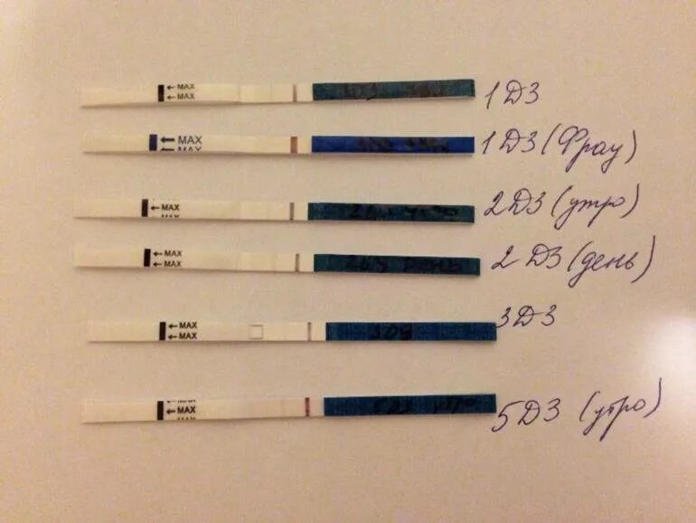 Тест на беременность отрицательный на 3 день задержки месячных. Тест на 2 день задержки. Второй день задержки а тест отрицательный. Три дня задержки месячных тест отрицательный.