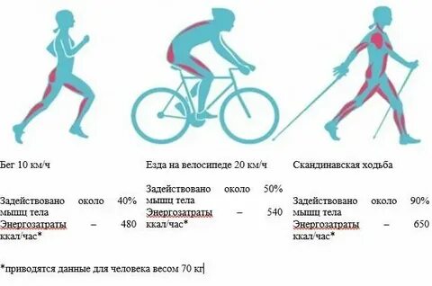 Сколько часов в километрах ходьбы