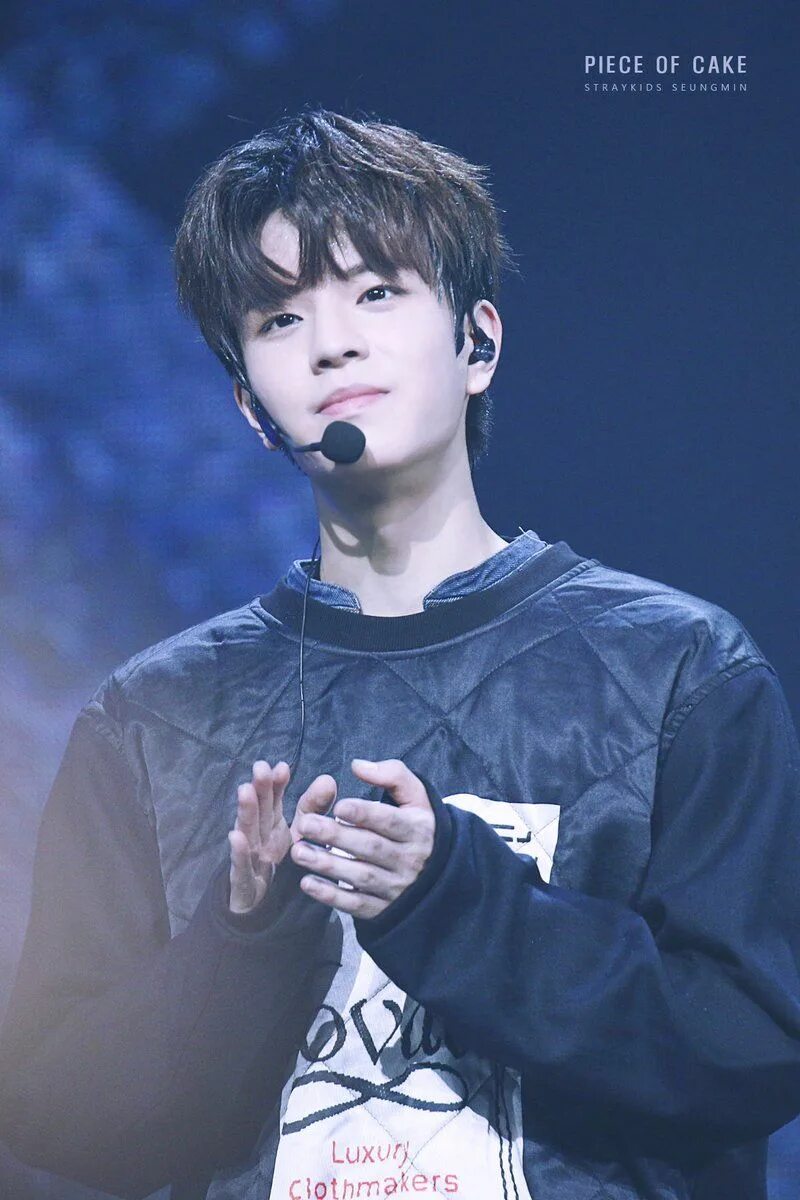 Минхо сынмин 2020. Stray kids seung min. Покажи сын мина. Уджин из stray kids 2022. Ким сынмин мем.