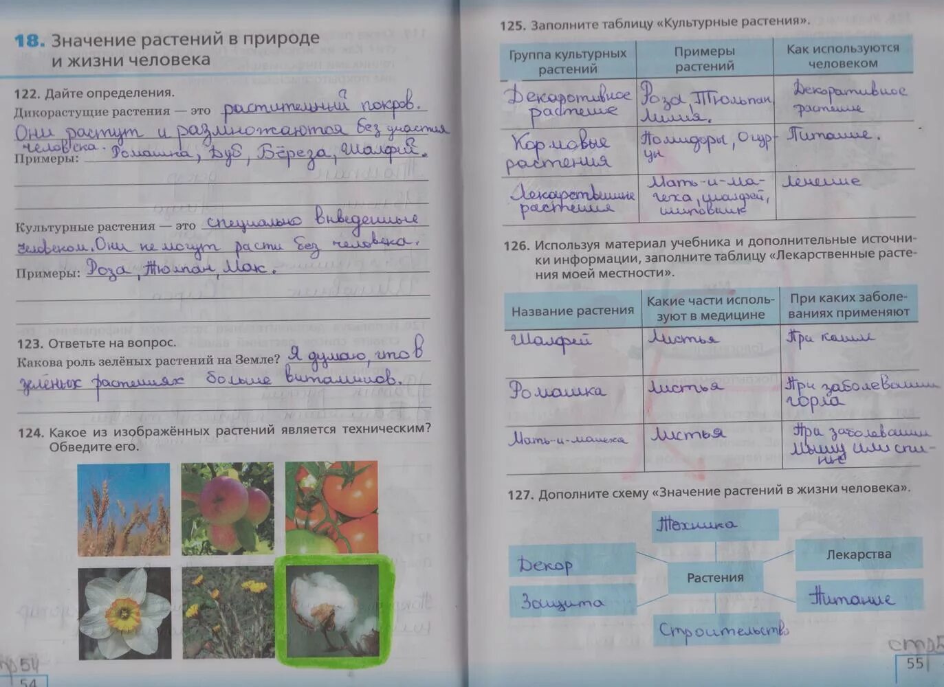 Пятый класс биология рабочая тетрадь станица 54. Биология 5 класс страница 55 биология 5 класс страница 54. Домашнее задание по биологии. Гдз по биологии 5 класс рабочая тетрадь стр 54. Биология 5 класс страница 129 вопросы ответы