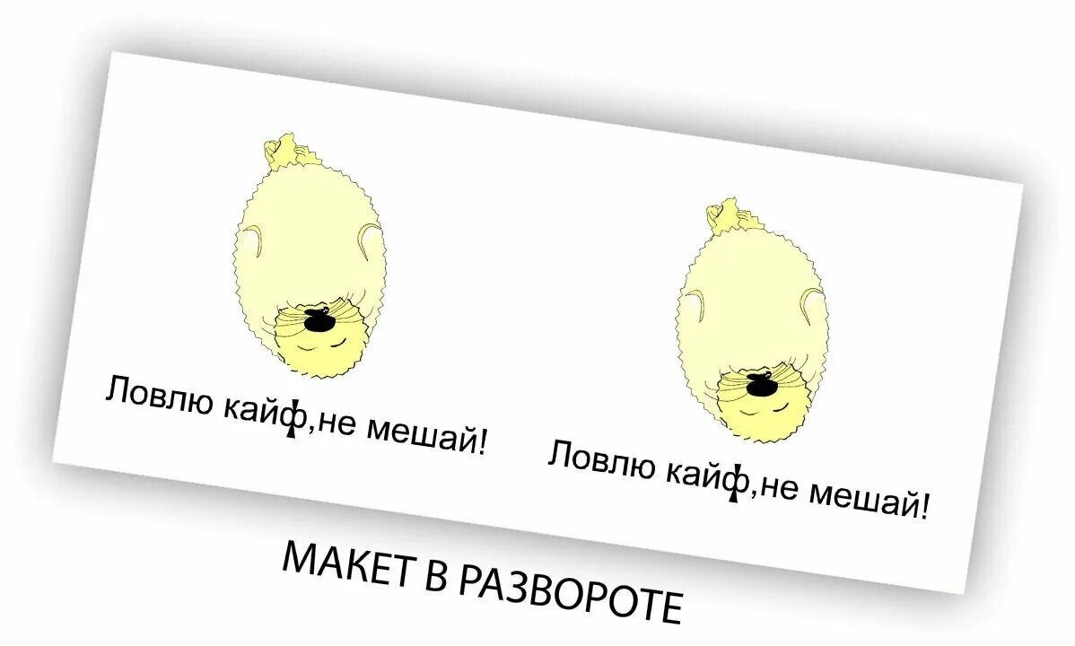 лови кайф. кайф ты поймала konfuz обложка. кайфуй от жизни открытка. поймала кайф. желаю кайфовать от жизни.